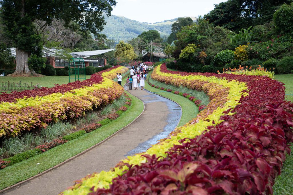 Sri Lanka, Kandy – Royal Botanical Gardens (00:06:25) High-Quality Images & Videos The MCA Collection