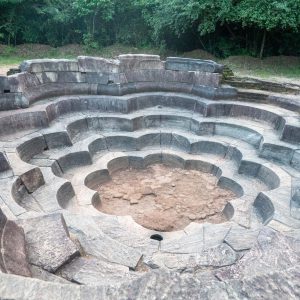 Sri Lanka, Polonnaruwa – Lotus Pond High-Quality Images & Videos The MCA Collection