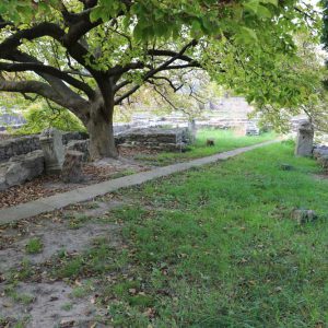 Hungary, Budaphest, Aquincum – Shrine of Fortuna Augusta(00:00:39) High-Quality Images & Videos The MCA Collection