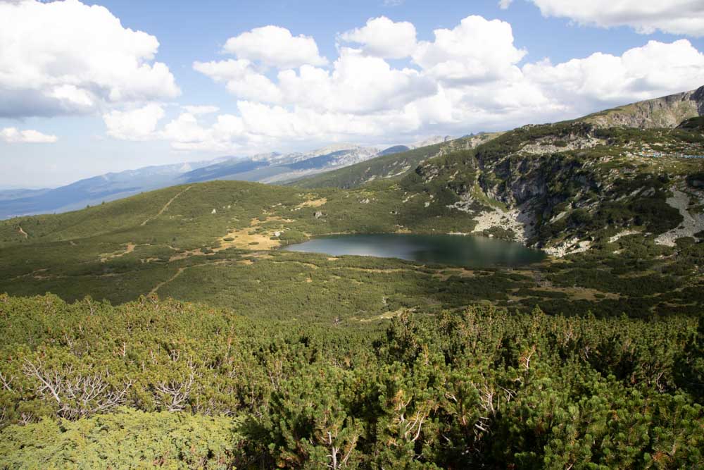 Bulgaria, Pirin National Park (00:02:36) Bulgaria, Pirin National Park (00:02:36) High-Quality Images & Videos The MCA Collection