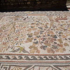 North Macedonia, Heracles Lyncetis ancient city – Mosaics (00:08:50) High-Quality Images & Videos The MCA Collection