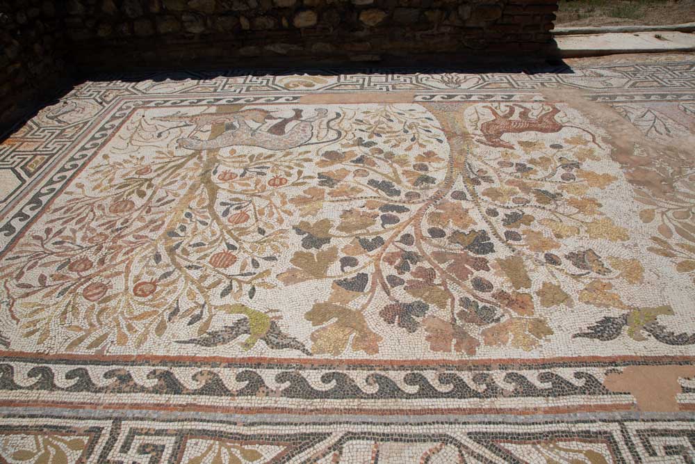 North Macedonia, Heracles Lyncetis ancient city – Mosaics (00:08:50) High-Quality Images & Videos The MCA Collection