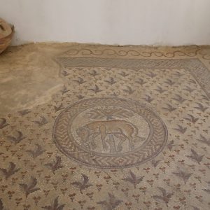 Jordan, Madaba – Ma’in Church of the Acropolis (00:01:01) High-Quality Images & Videos The MCA Collection