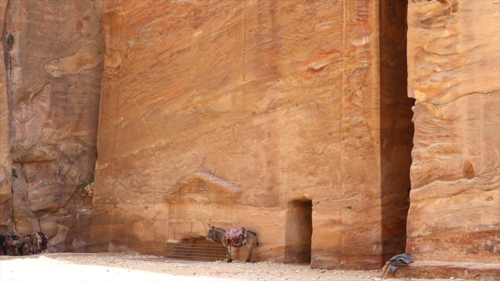 Jordan, Petra – Tombs (00:00:38) High-Quality Images & Videos The MCA Collection
