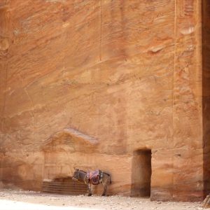 Jordan, Petra – Tombs (00:00:38) High-Quality Images & Videos The MCA Collection