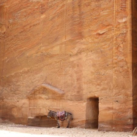 Jordan, Petra – Tombs (00:00:38) Jordan, Petra - Tombs (00:00:38)