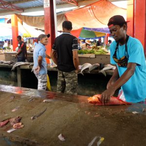 Ceychelles, Mahe Island, Traditional fish market (00:02:07) High-Quality Images & Videos The MCA Collection
