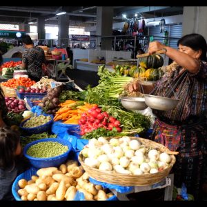 Guatemala, Santa Maria de Jesus – Traditional Market (00:03:04) High-Quality Images & Videos The MCA Collection