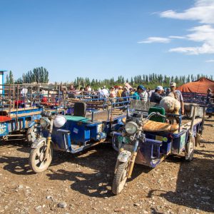 Traditional around the World