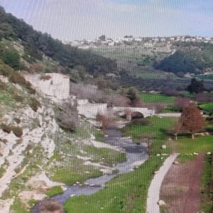 Israel, Nahal Zippori (Hebrew Narration) High-Quality Images & Videos The MCA Collection