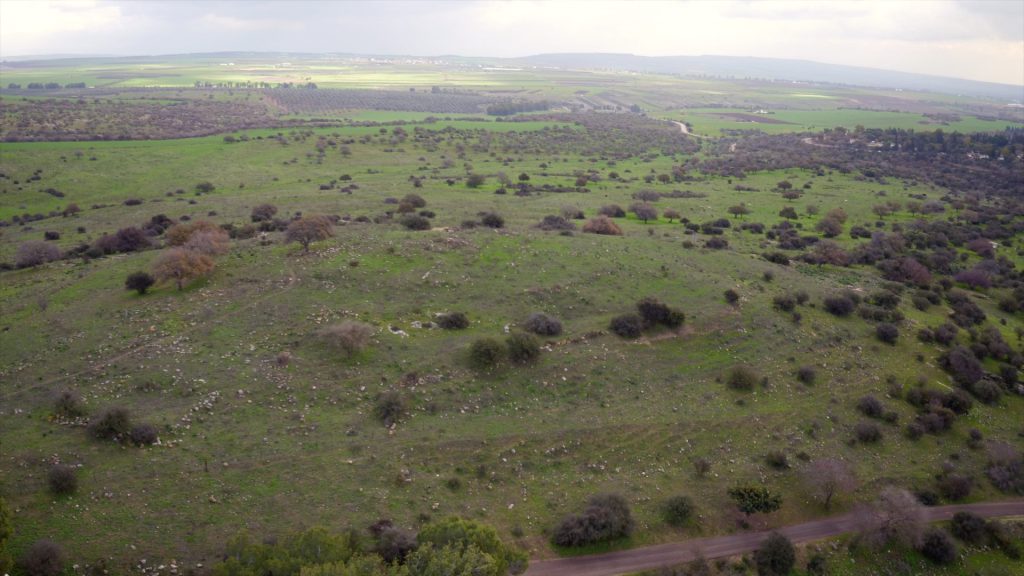 Israel, Tel Govel High-Quality Images & Videos The MCA Collection