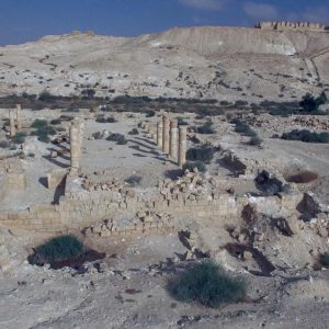 Israel, Nessana (Nizzana) – Hebrew Narration High-Quality Images & Videos The MCA Collection