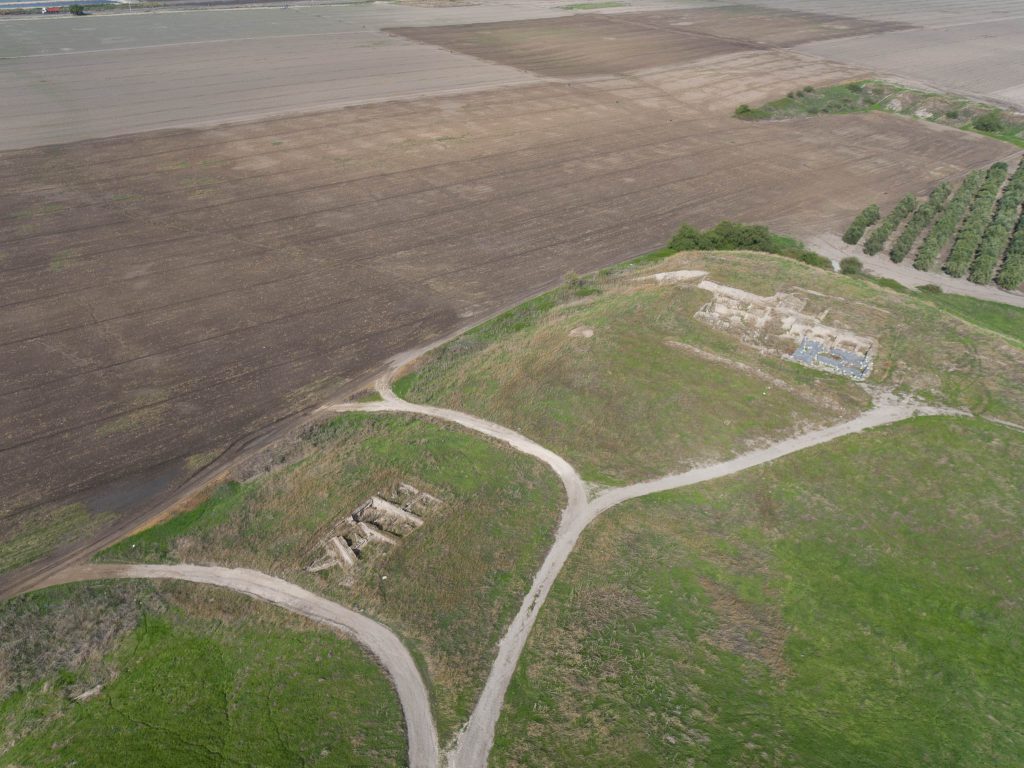 Israel, Tel Rehov High-Quality Images & Videos The MCA Collection