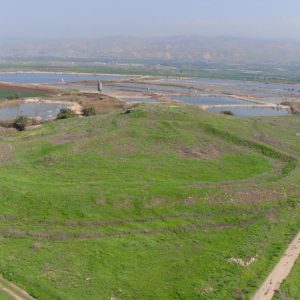 Israel, Tel Shalem (Hebrew Narration) High-Quality Images & Videos The MCA Collection