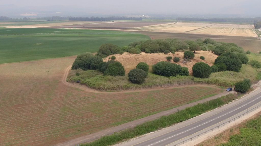 Israel, Tel Anafa High-Quality Images & Videos The MCA Collection