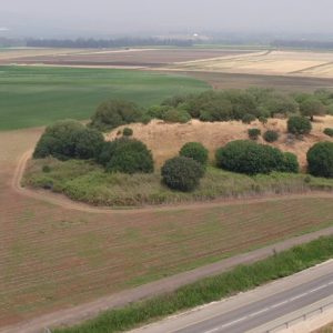 Israel, Tel Anafa High-Quality Images & Videos The MCA Collection