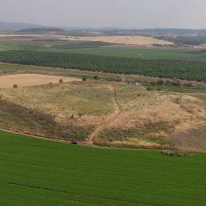 Israel, Tel Batash (Biblical Timnah) High-Quality Images & Videos The MCA Collection