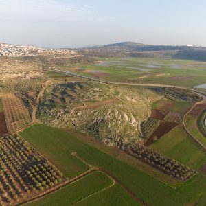 Israel, Tel Netofa (Khirbet Natif) High-Quality Images & Videos The MCA Collection