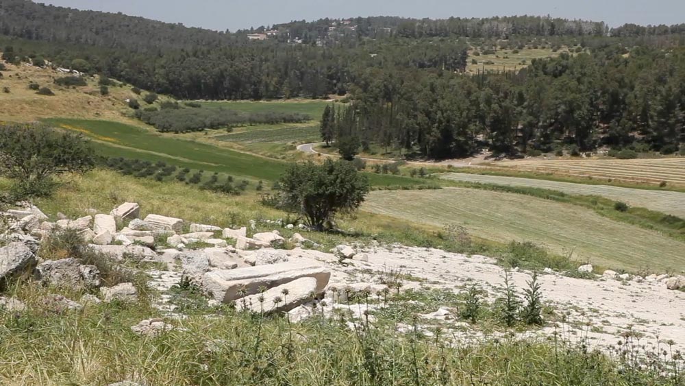 Israel, Adullam – Ancient Synagogue High-Quality Images & Videos The MCA Collection