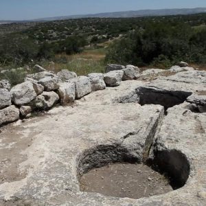 Israel, Adullam – Khirbet Etry – Grape Press High-Quality Images & Videos The MCA Collection