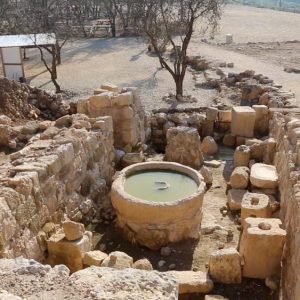 Israel, Ancient Shiloh – Oil Press High-Quality Images & Videos The MCA Collection