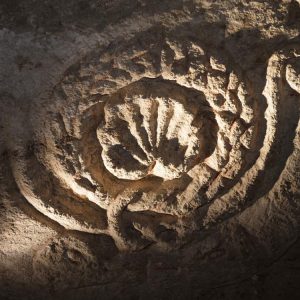 Israel, Beit Shea’rim Necropolis – Cave of the Coffins- Sarcophagus3 High-Quality Images & Videos The MCA Collection