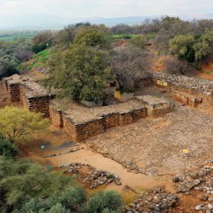 Israel, Tel Dan Ancient City Israel, Tel Dan Ancient City High-Quality Images & Videos The MCA Collection