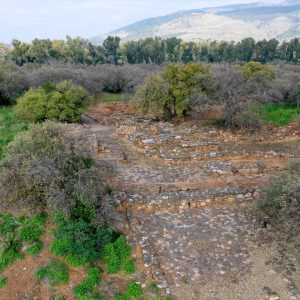 Israel, Tel Dan Ancient City – Second Outer Gate Israel, Tel Dan Ancient City – Second Outer Gate High-Quality Images & Videos The MCA Collection