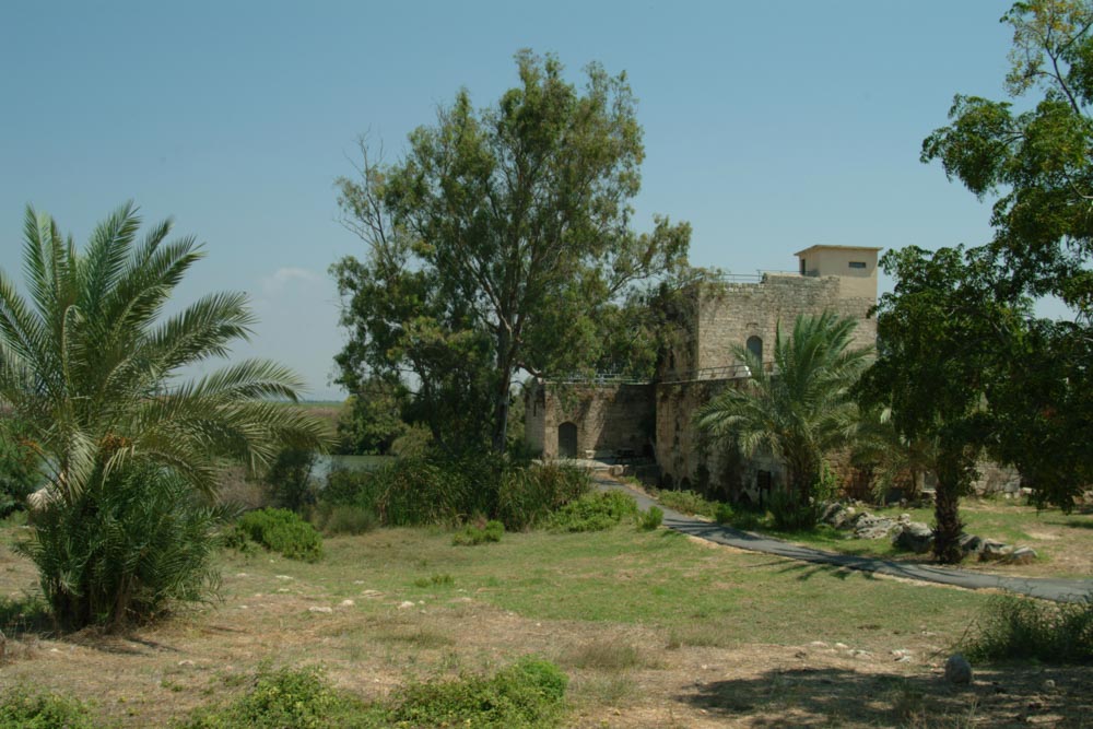 Israel, Tel Afek – Ein Afek Nature Reserve High-Quality Images & Videos The MCA Collection