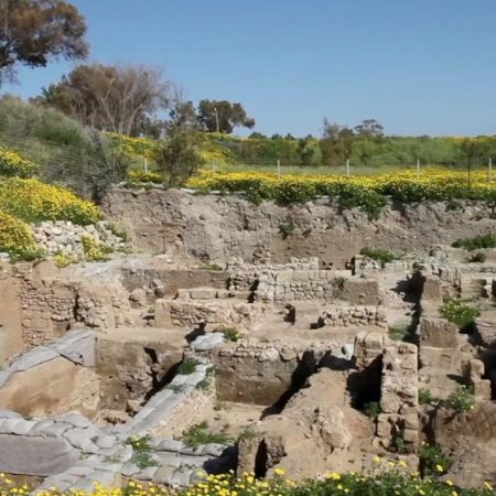 Israel, Ascalon (Ashkelon) - Excavation Area