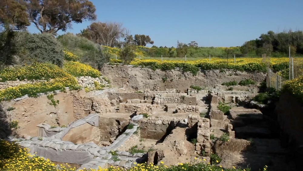 Israel, Ascalon (Ashkelon) – Excavation Area High-Quality Images & Videos The MCA Collection