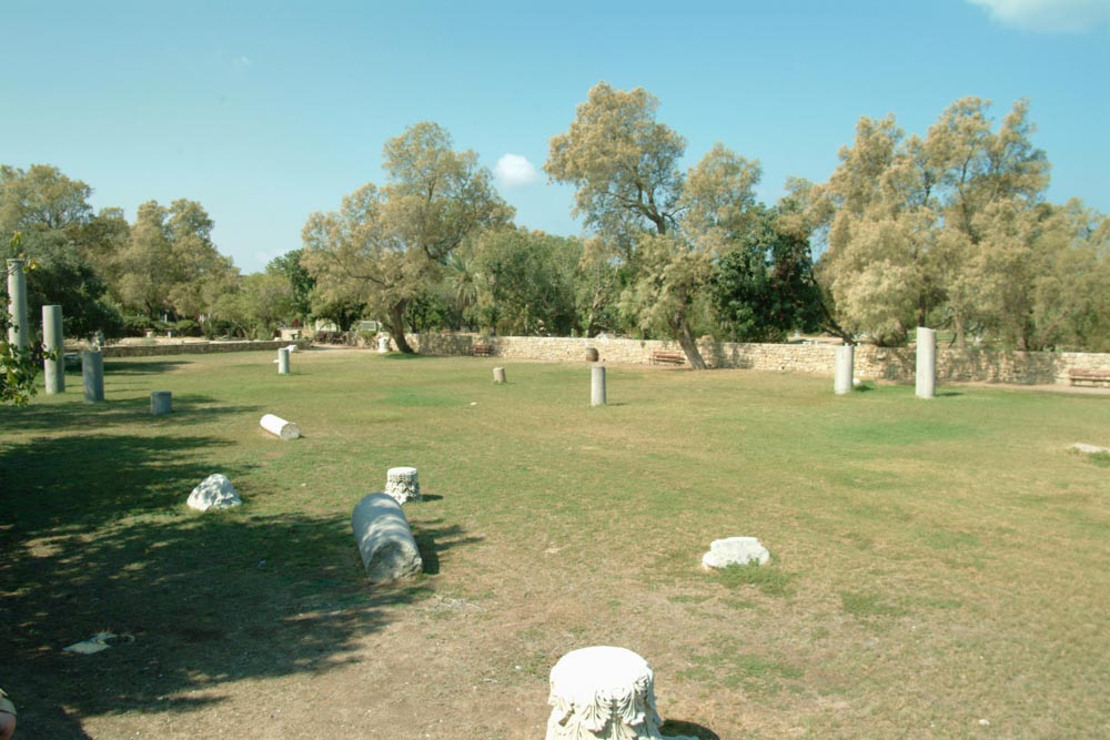 Israel, Ascalon (Ashkelon) – Roman Basilica High-Quality Images & Videos The MCA Collection