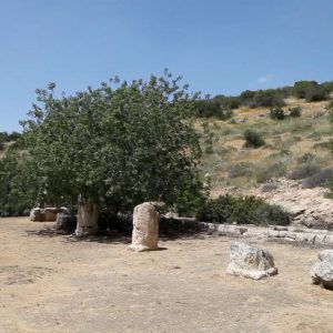 Israel, Beit Guvrin (Eleutheropolis) – Roman Millstones High-Quality Images & Videos The MCA Collection