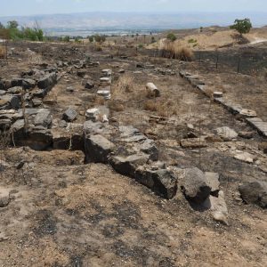Israel, Beit She’an Ancient  Synagogue High-Quality Images & Videos The MCA Collection