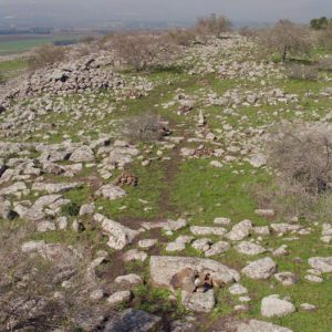 Israel, Kibbutz Shamir Ancient Dolmans High-Quality Images & Videos The MCA Collection