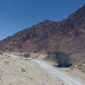 Israel, Eilat Mountains High-Quality Images & Videos The MCA Collection