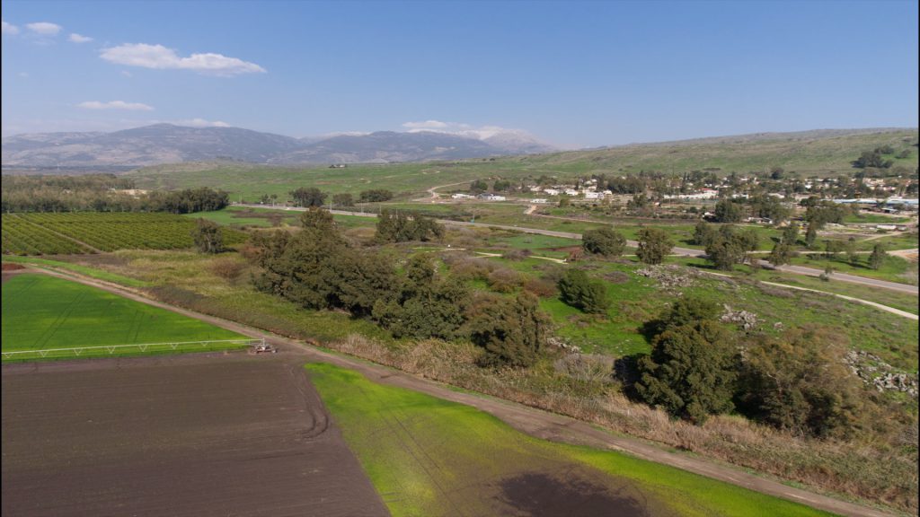 Israel, Tel Klil High-Quality Images & Videos The MCA Collection