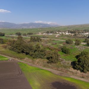 Israel, Tel Klil High-Quality Images & Videos The MCA Collection