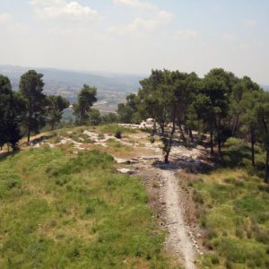 Israel, Tel Zorah (Tzora) High-Quality Images & Videos The MCA Collection