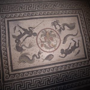 Italy, Pompeii, House of Menander,  Caldarium, mosaic with sea creatures High-Quality Images & Videos The MCA Collection