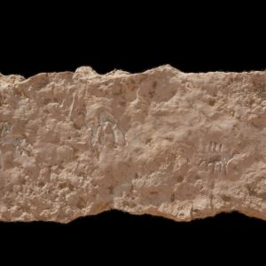 Israel, Timna Valley – Rock Engraving – Merchantship in Anchorage High-Quality Images & Videos The MCA Collection
