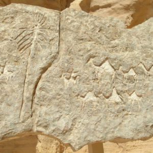 Israel, Timna Valley – Rock Engraving – Nabataean Trading Caravan High-Quality Images & Videos The MCA Collection