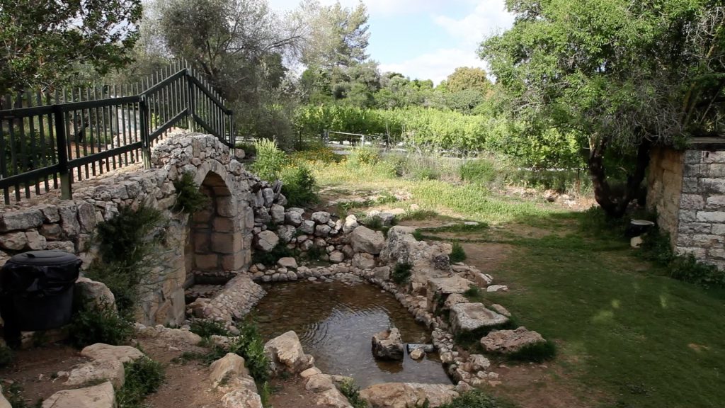 Israel, Tzuba – John the Baptist Cave High-Quality Images & Videos The MCA Collection