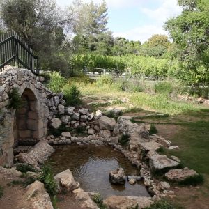 Israel, Tzuba – John the Baptist Cave High-Quality Images & Videos The MCA Collection