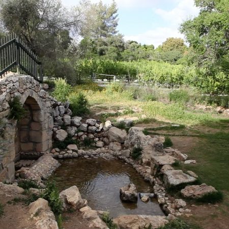 Israel, Tzuba - John the Baptist Cave