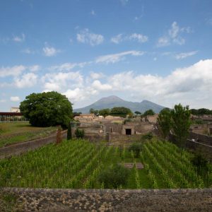 Italy, Pompeii, Gardens with the Mount Vesuvius in the background High-Quality Images & Videos The MCA Collection
