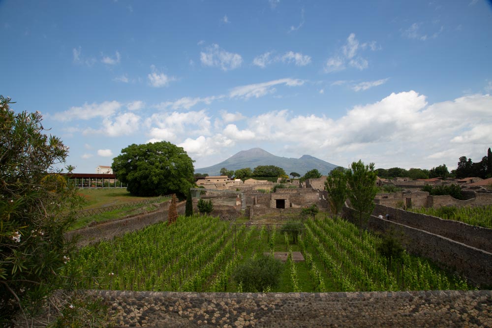 Italy, Pompeii, Gardens with the Mount Vesuvius in the background High-Quality Images & Videos The MCA Collection