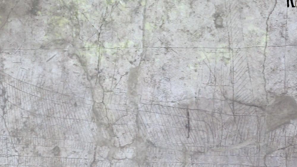 Italy, Pompeii, Graffity and drawing on the  walls High-Quality Images & Videos The MCA Collection