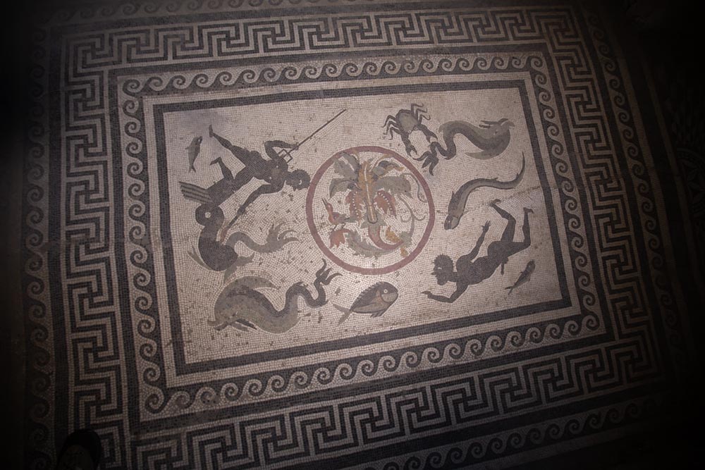 Italy, Pompeii, House of Menander,  Caldarium, mosaic with sea creatures and wall paintings High-Quality Images & Videos The MCA Collection