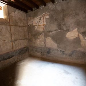 Italy, Pompeii, House of the Menander , room with frescoes on the walls2 High-Quality Images & Videos The MCA Collection